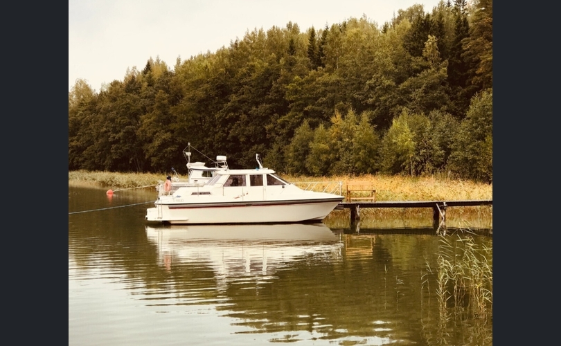 Sterna Muu malli-kuva-8